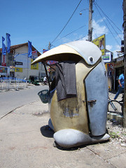 penguin in Weligama, Sri Lanka