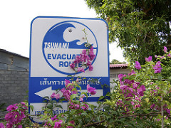 tsunami evacuation road