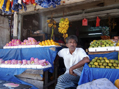 selling fruits