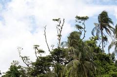 Uduwallawe National Park