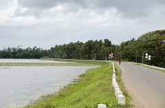 Uduwallawe National Park