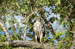 Uduwallawe National Park