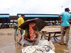 Negombo Fish Market
