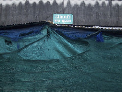 sai bour, thewet, bangkok