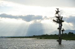 Uduwallawe National Park