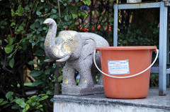 elephant in temple