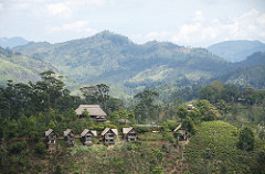 98 acres hotel, ella