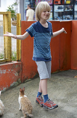 done: no more carrots