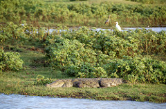 Uduwallawe National Park