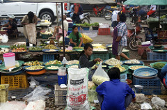 morning market