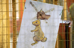 dont take the rabbits like this