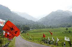 campaigning in the rice fields