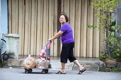 coming from the groceries