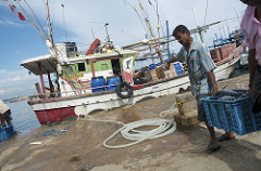 tangalle fish harbour