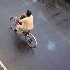 from our kitchen window in Negombo