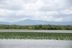 Uduwallawe National Park