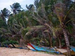 fisherboats at mirissa beach