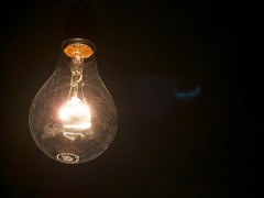 bulb