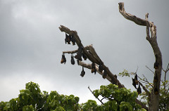 Uduwallawe National Park
