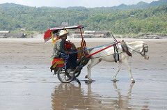 beach transport