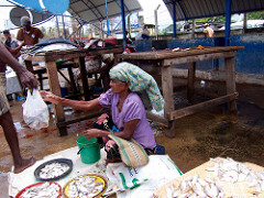 Negombo Fish Market