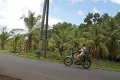 Uduwallawe National Park