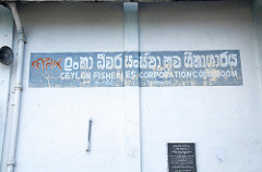 ceylon fisheries corporation cold room