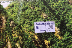 gecko mini market