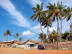 Icebear Negombo Beach