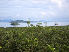 mangrove coast, ko lanta