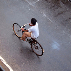 from our kitchen window in Negombo