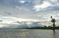 Uduwallawe National Park
