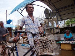 Negombo Fish Market