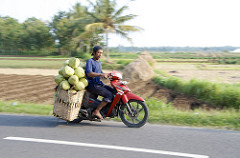 coconut bike