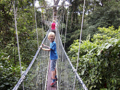 canopy walk