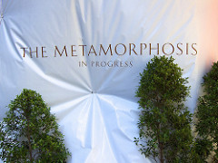 the metamorphosis is ALWAYS in progress