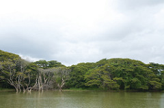 Uduwallawe National Park