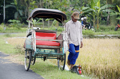 in the ricefield