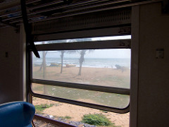 tropical view from train