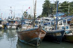 tangalle fish harbour