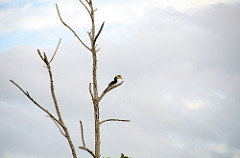 Uduwallawe National Park