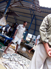 Negombo Fish Market