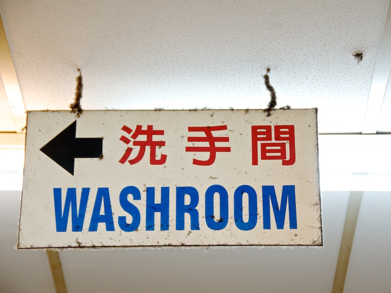 mastering asian toilets