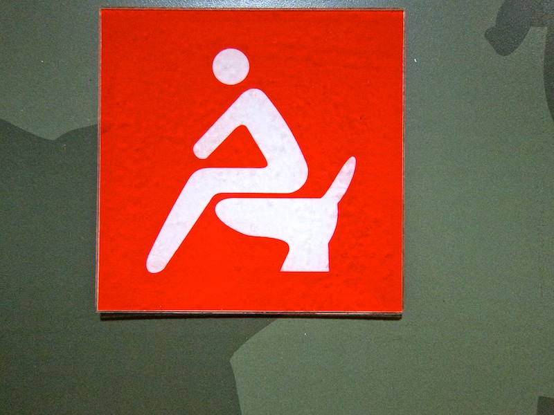 mastering asian toilets