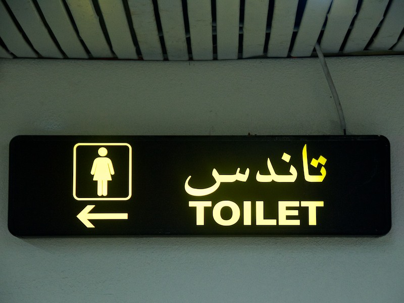 mastering asian toilets