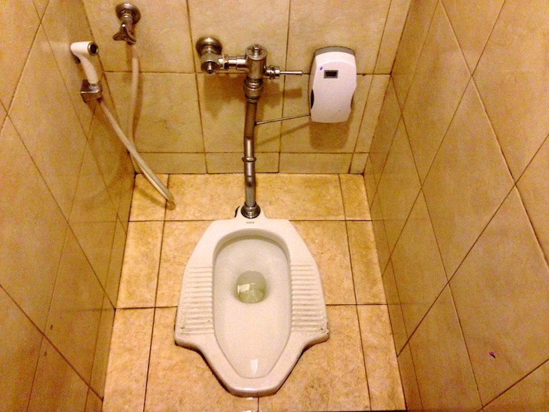 mastering asian toilets