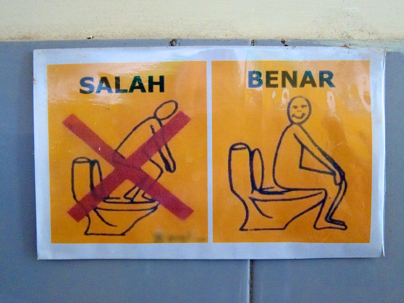 mastering asian toilets