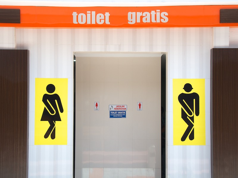 mastering asian toilets