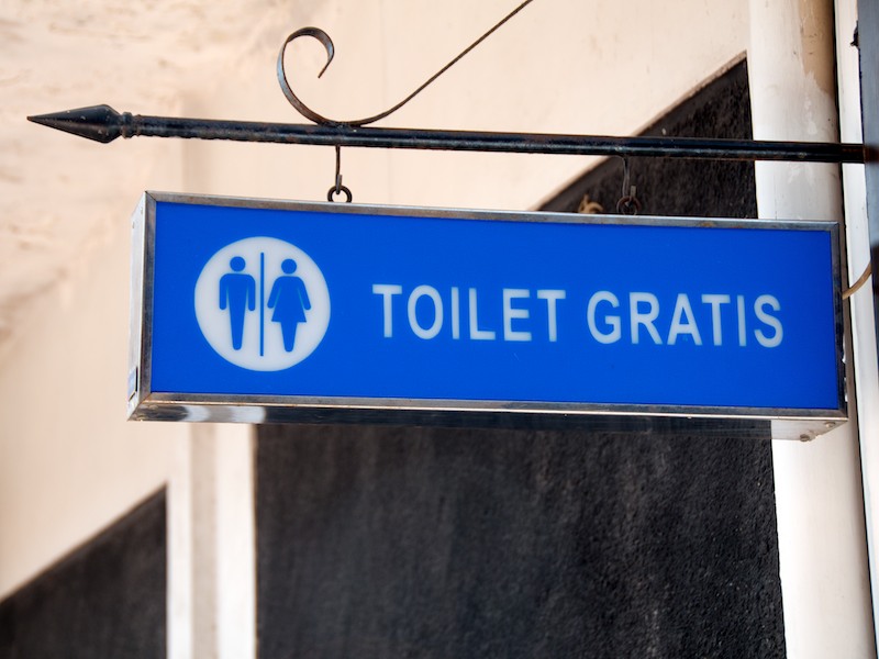 mastering asian toilets